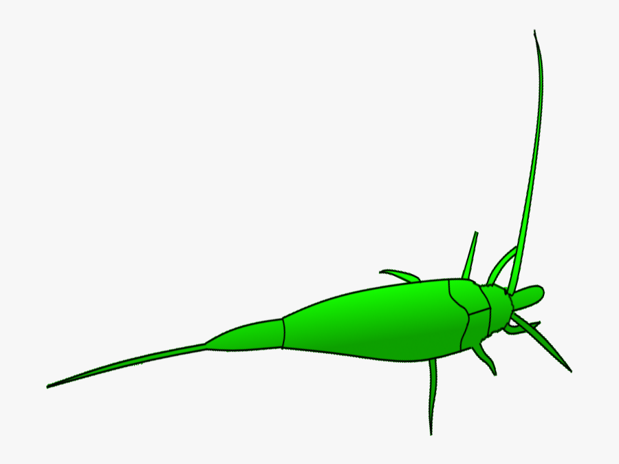 Grasshopper Clipart Dead, Transparent Clipart
