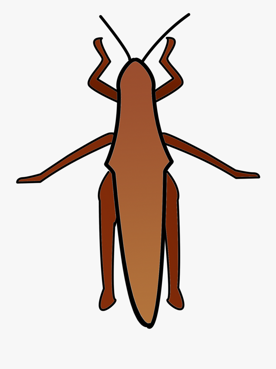 Transparent Grasshopper Clipart - Bee, Transparent Clipart