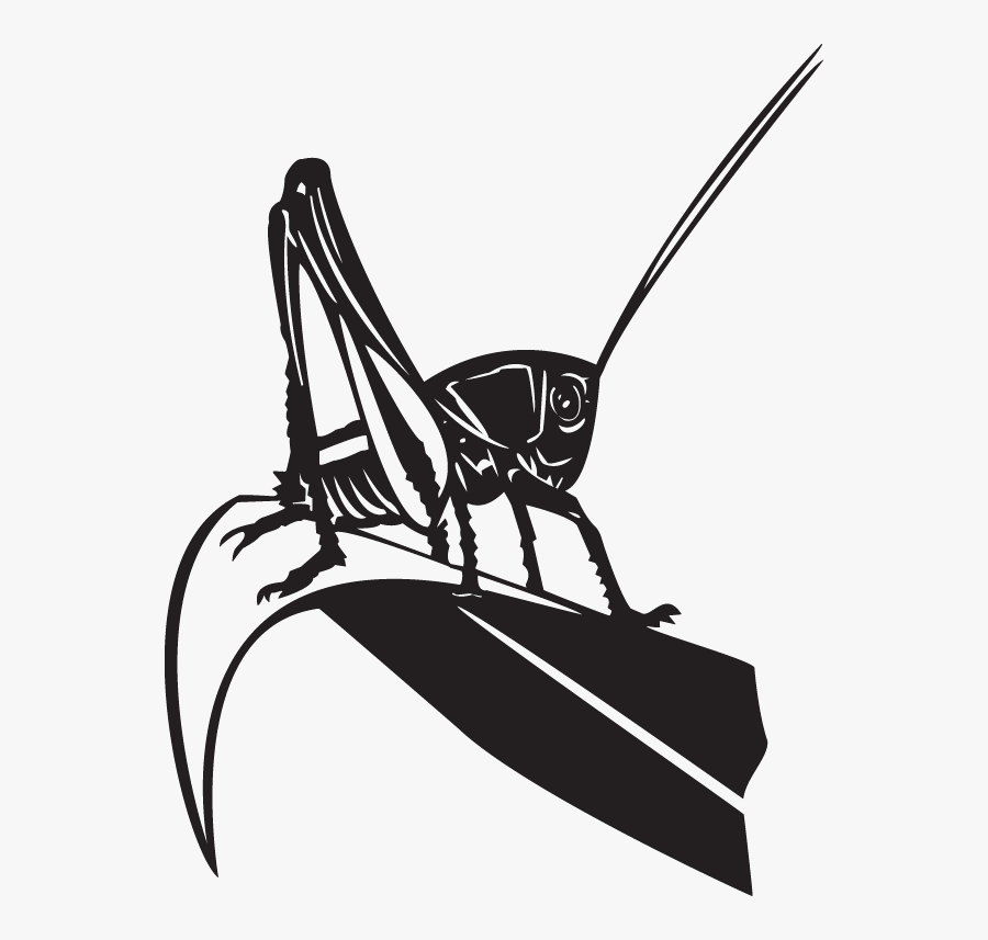 Dc00141 - Grasshopper - Grasshopper, Transparent Clipart