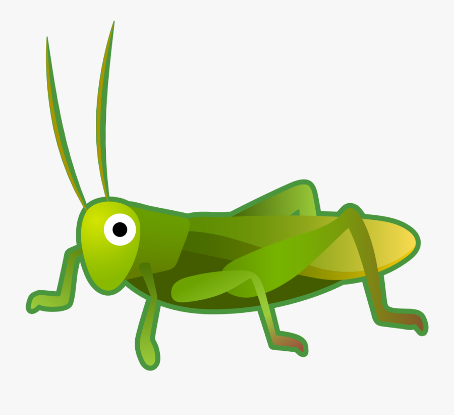 Grasshopper - Grillo Png, Transparent Clipart
