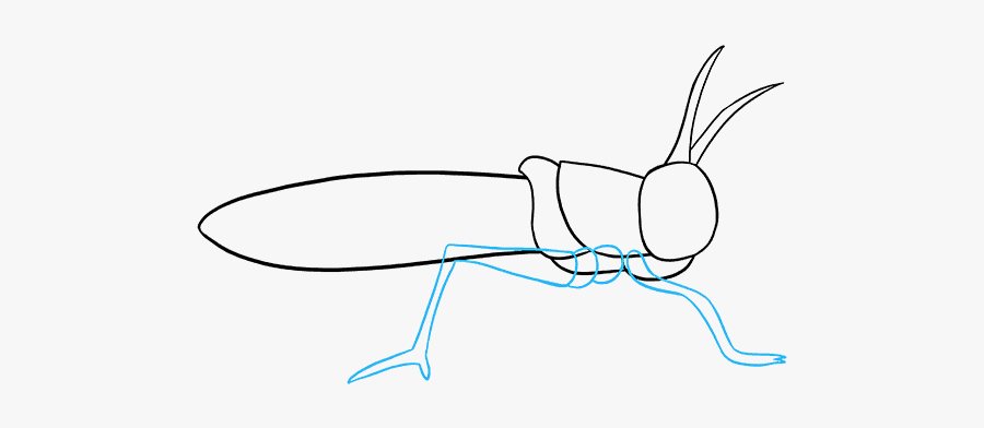 How To Draw Grasshopper - Grasshopper, Transparent Clipart