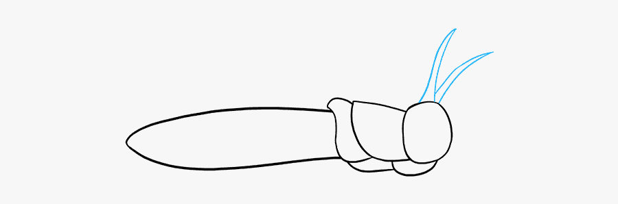 How To Draw A Grasshopper - Insect, Transparent Clipart