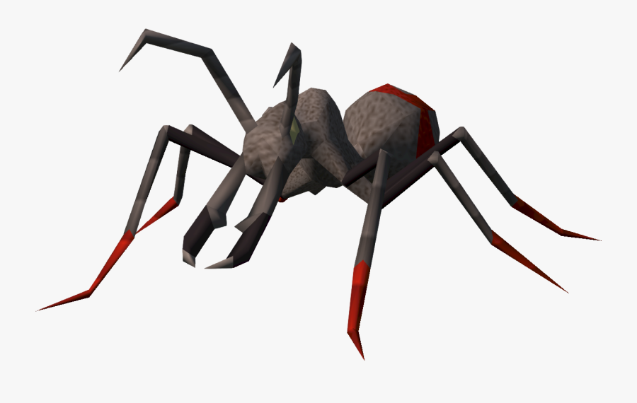 Ants Vector Three - Bull Ant Spider, Transparent Clipart
