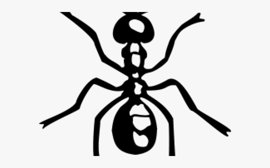 Ant Clipart, Transparent Clipart