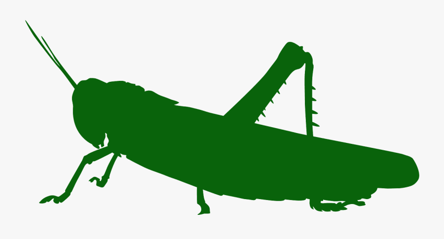 Grasshopper Clipart Silhouette - Silueta De Saltamonte, Transparent Clipart