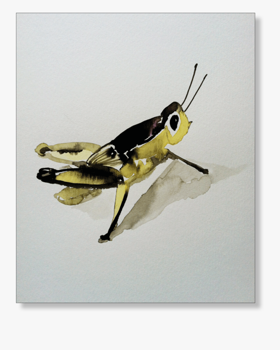 Grasshopper, Transparent Clipart