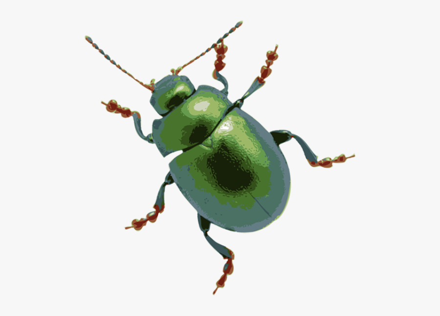 Mean Bug Clipart - Green June Beetle Transparent, Transparent Clipart