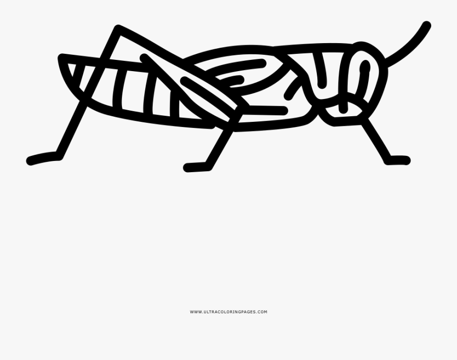 Grasshopper Coloring Page - Line Art, Transparent Clipart