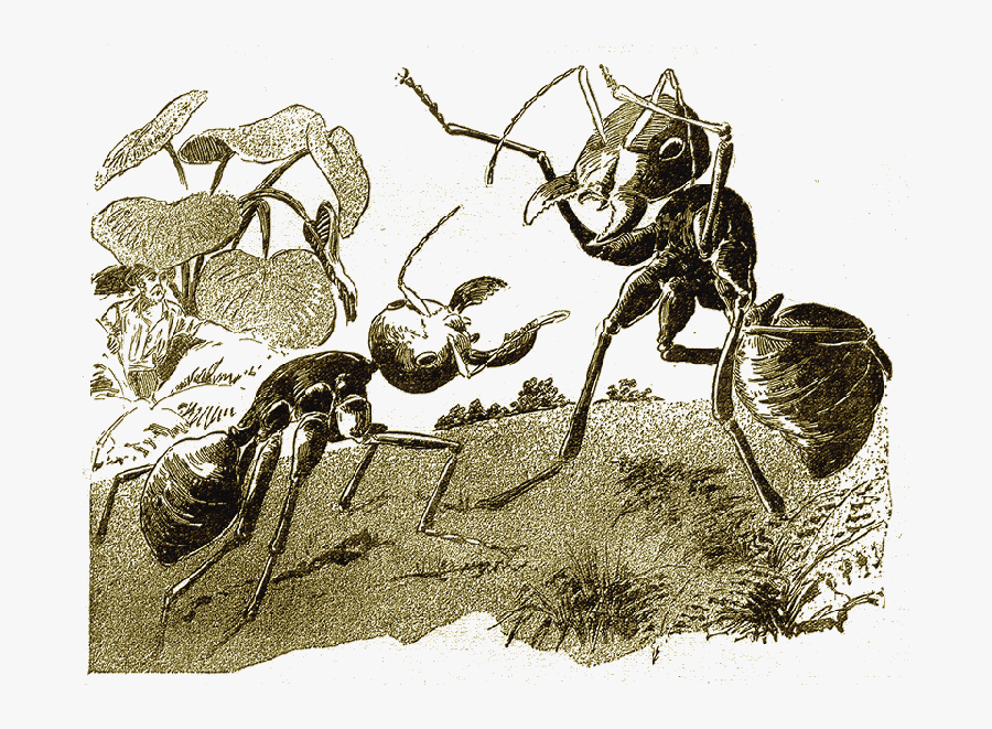 Clip Art The World Of Giant - Illustration, Transparent Clipart