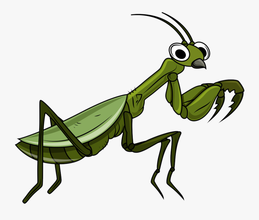 Transparent Mantis Clipart - Mantis Png, Transparent Clipart
