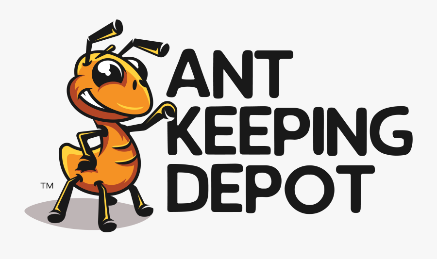 Ant Keeping Depot, Transparent Clipart