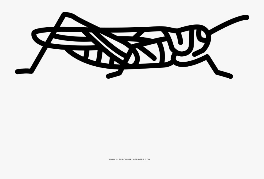 Grasshopper Coloring Page - Line Art, Transparent Clipart