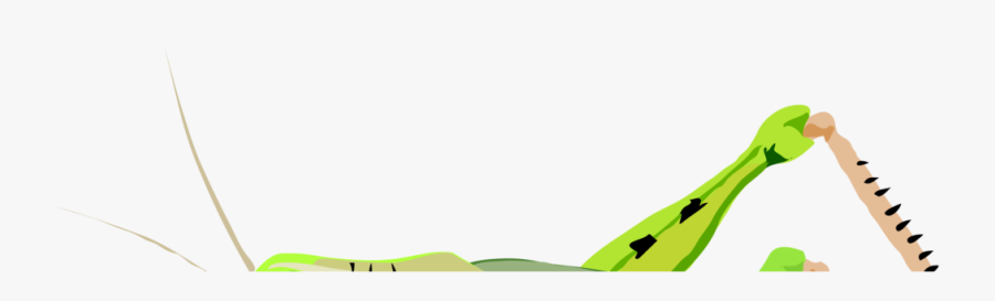 Grass,leaf,text - Grasshopper Clip Art, Transparent Clipart