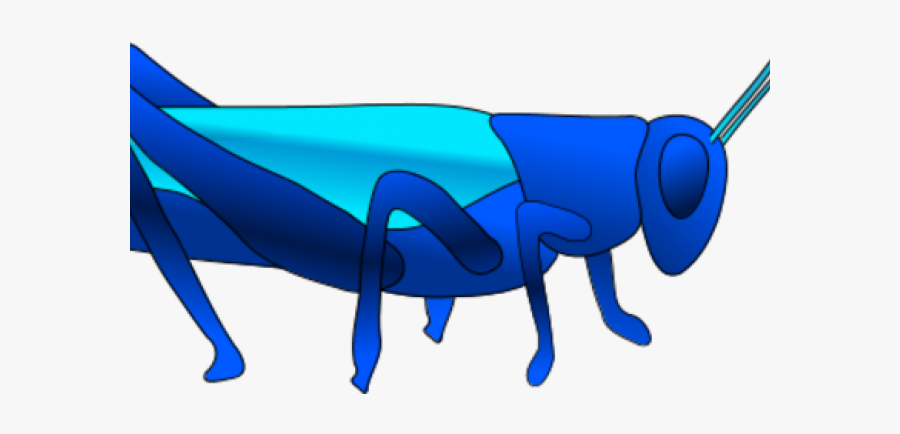 Realistic Clipart Grasshopper - Clip Art Picture Of Grasshopper, Transparent Clipart