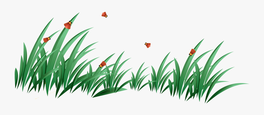 Grass Vector, Transparent Clipart