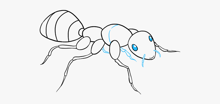 How To Draw Ant - Easy Simple Ant Drawing, Transparent Clipart