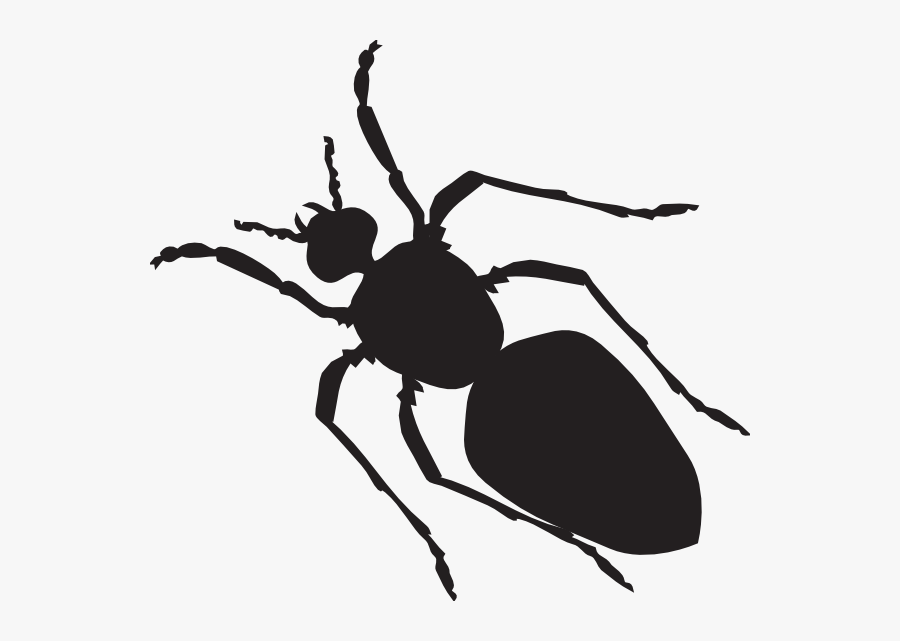 Black Ant Silhouette Clip Art - Ant Body Shape, Transparent Clipart