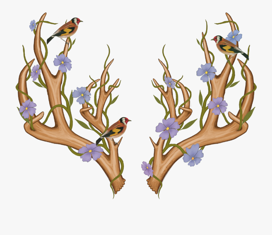 #antlers #horns #vines #birds #freetoedit - Illustration, Transparent Clipart