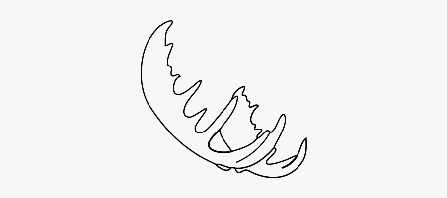 Fake Moose Antlers Side View, How To Put Together Your - Line Art, Transparent Clipart