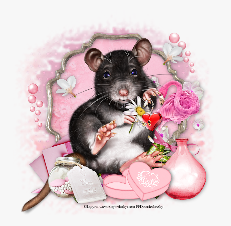 Rat, Transparent Clipart