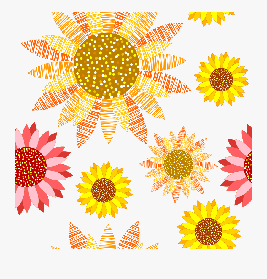 Sunflowers Clipart Colorful - African Daisy, Transparent Clipart