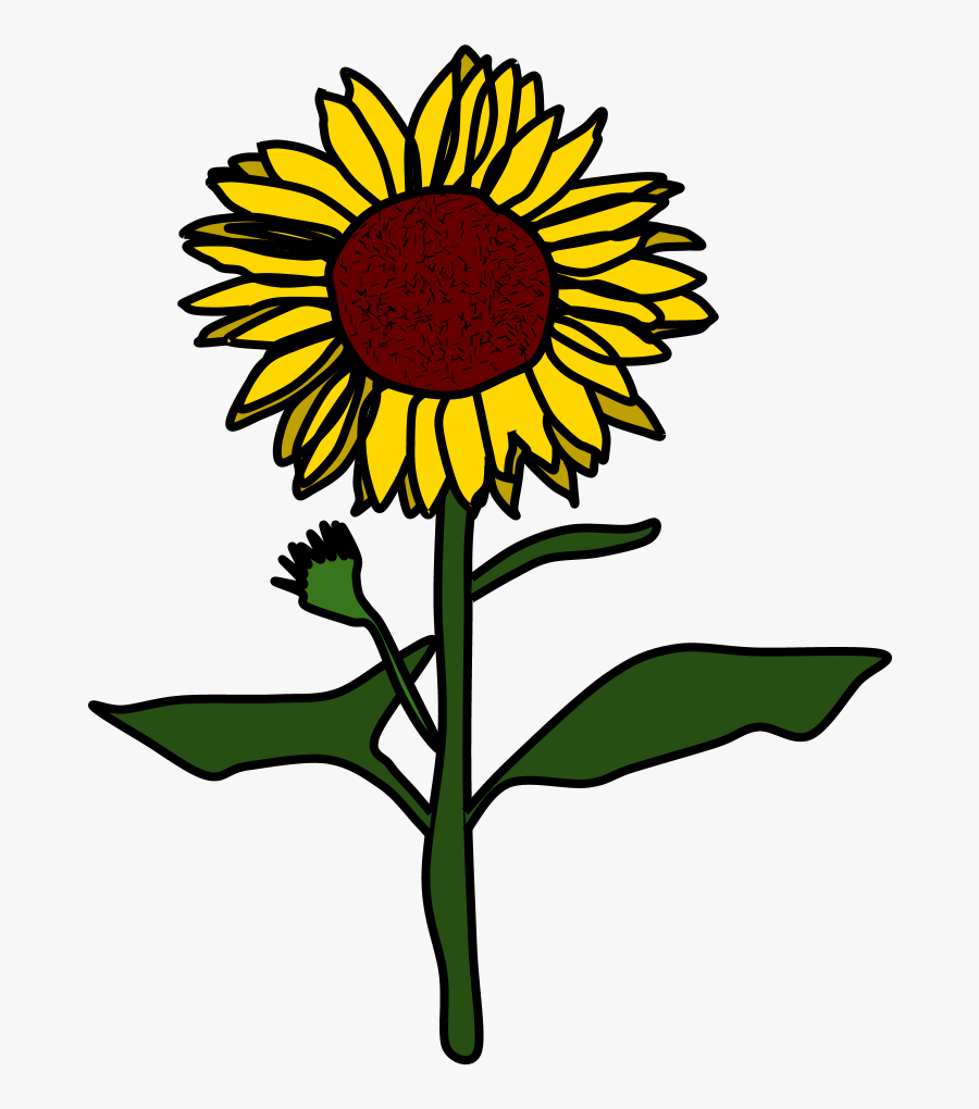Sunflower, Yellow, Brown - Sunflower Black And White, Transparent Clipart