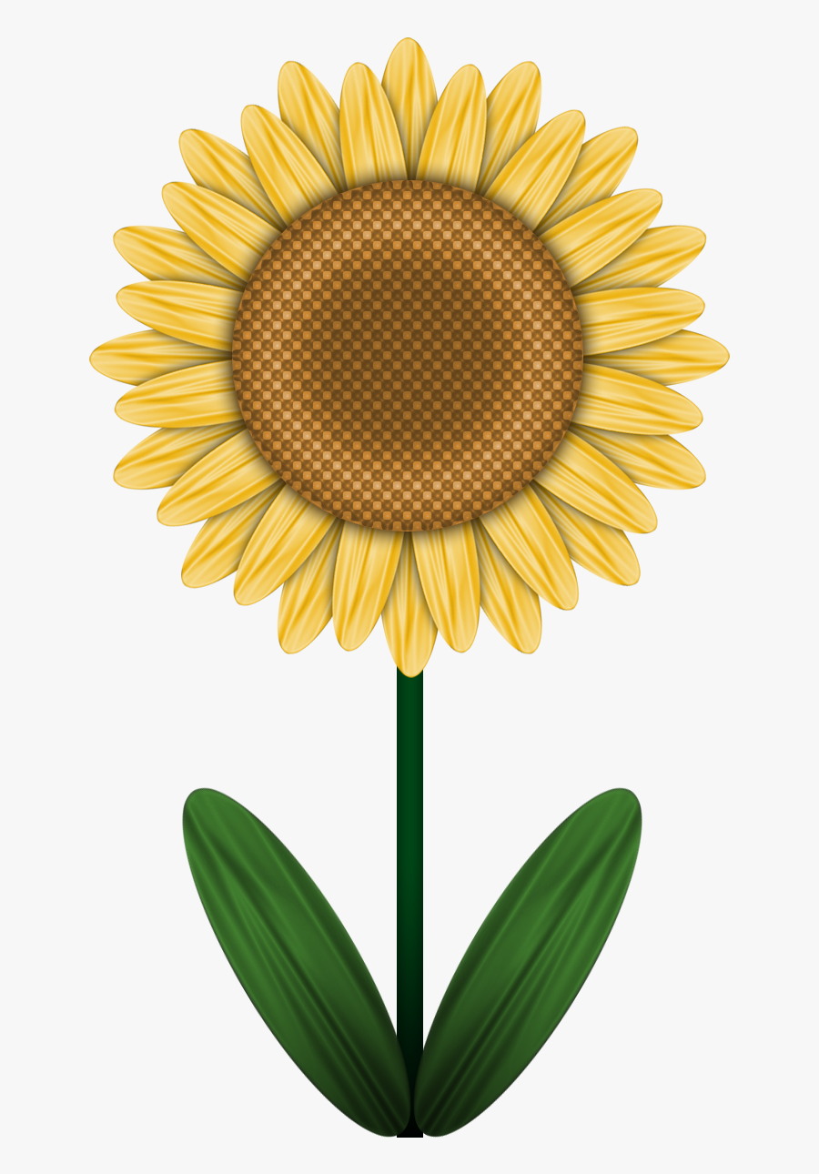 Transparent Sunflower Clipart Png - Finsbury Park, London, Transparent Clipart