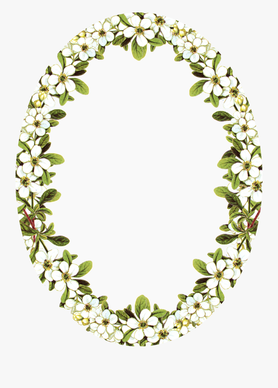Transparent Oval Frame Png - Flower Vintage Frame Png, Transparent Clipart