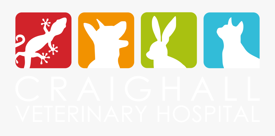 Craighall Veterinary Hospital Clipart , Png Download - Cartoon, Transparent Clipart