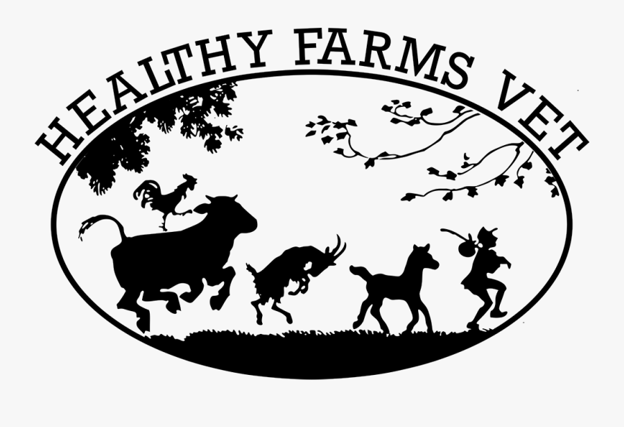 Healthy Farms Vet - Jack Went To Seek His Fortune, Transparent Clipart