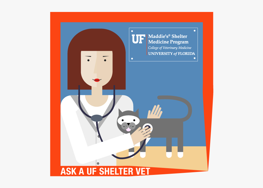 Vet Protocols, Transparent Clipart