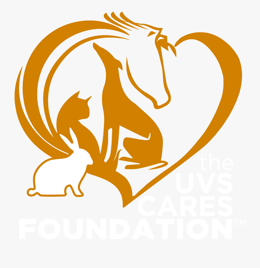 University For Veterinarians, Transparent Clipart