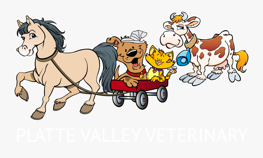 Platte Valley Veterinary - Cartoon, Transparent Clipart