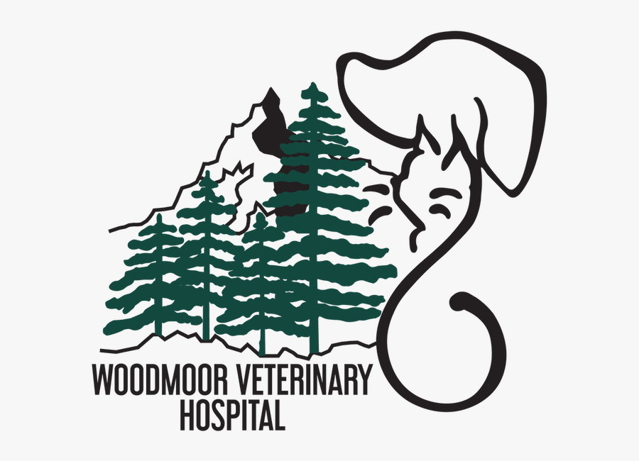 Picture - Illustration, Transparent Clipart