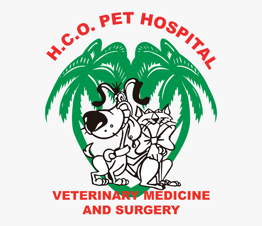 Hospital Municipal De Barueri, Transparent Clipart