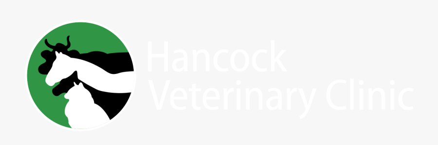 Hancock Veterinary Clinic - Veterinary Clinic, Transparent Clipart