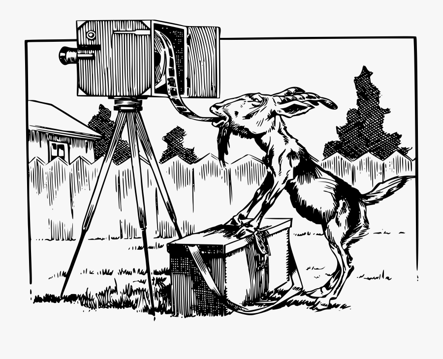 Goat Eats Film From Camera Clip Arts, Transparent Clipart