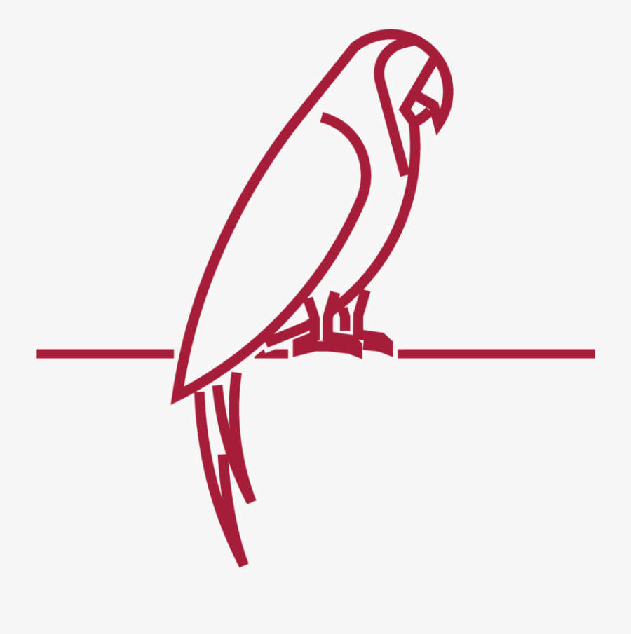 Parrot, Transparent Clipart