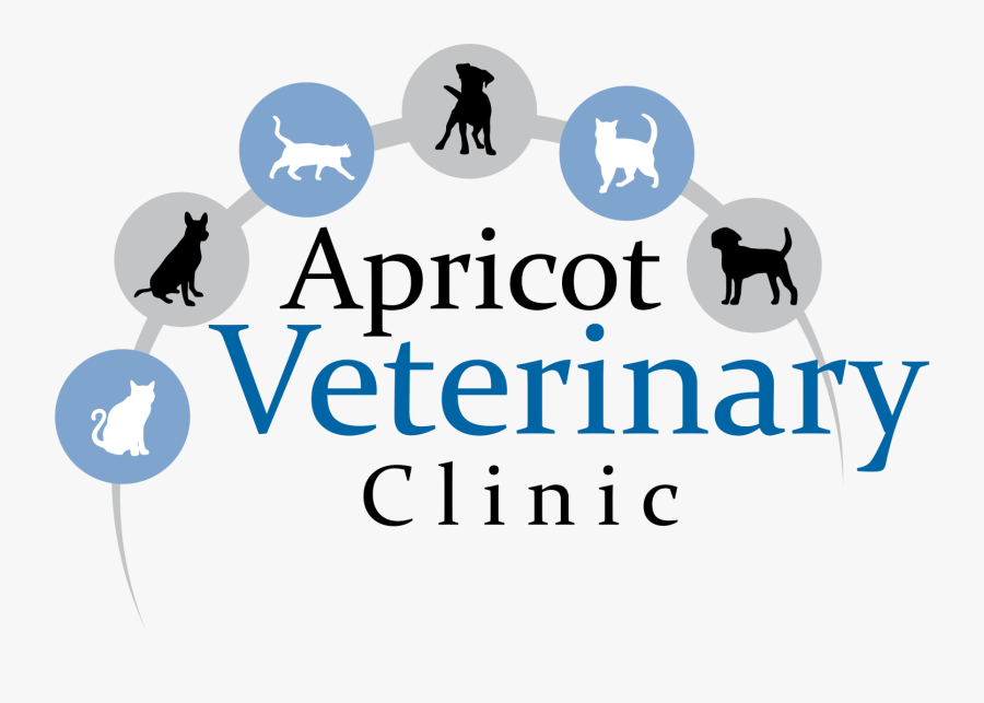 Apricot Veterinary Clinic - Dynalyst, Transparent Clipart