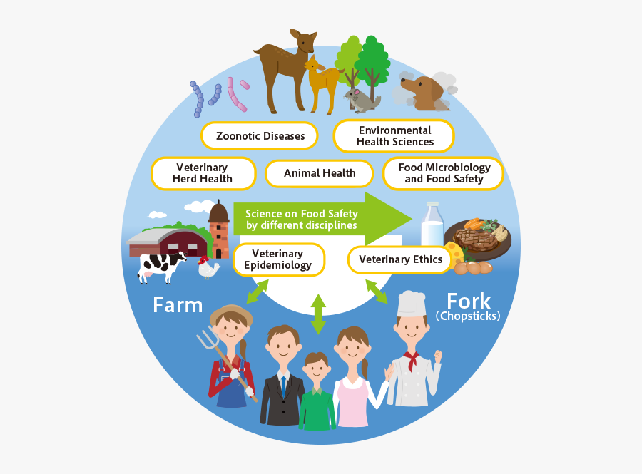Veterinary Epidemiology, Transparent Clipart