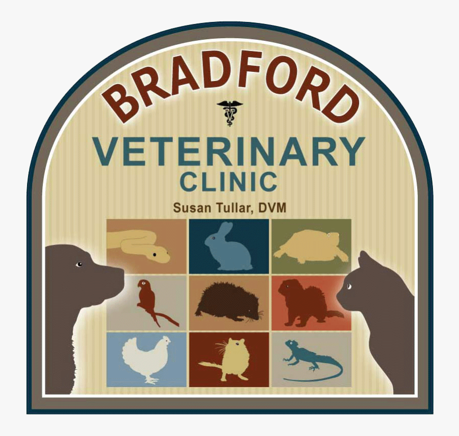 Bradford Veterinary Clinic - Sarasota Airport Logo, Transparent Clipart