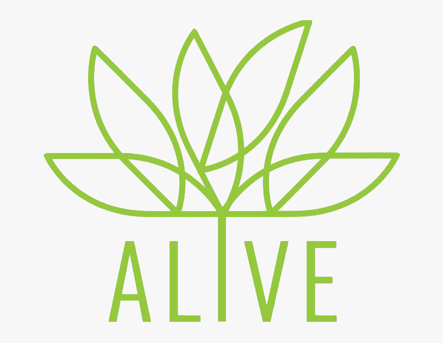 Walt Disney Feature Animation Logo, Transparent Clipart