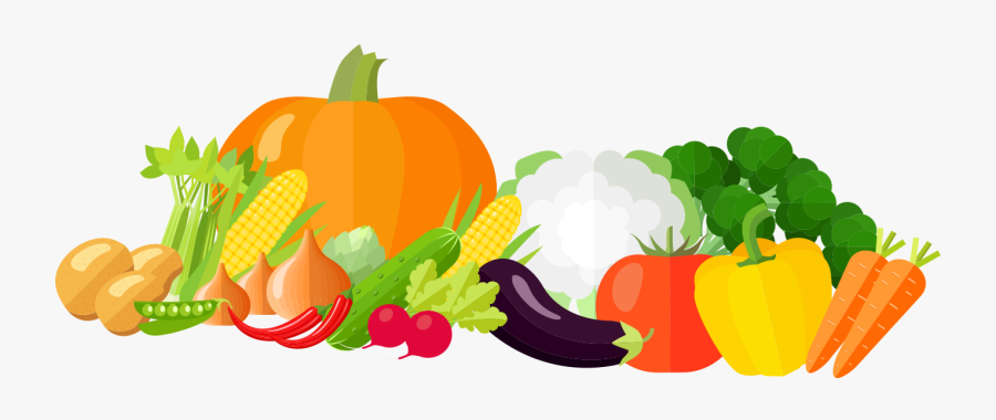 Jpg Stock Nutrition Clipart Dietary Fiber - Fiber Clip Art, Transparent Clipart