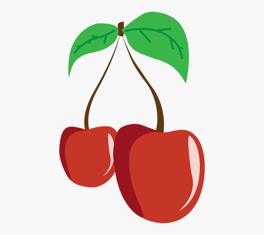 Cherry Fruit Cherries Leaf Nutrition Eating - Nutrição Png, Transparent Clipart