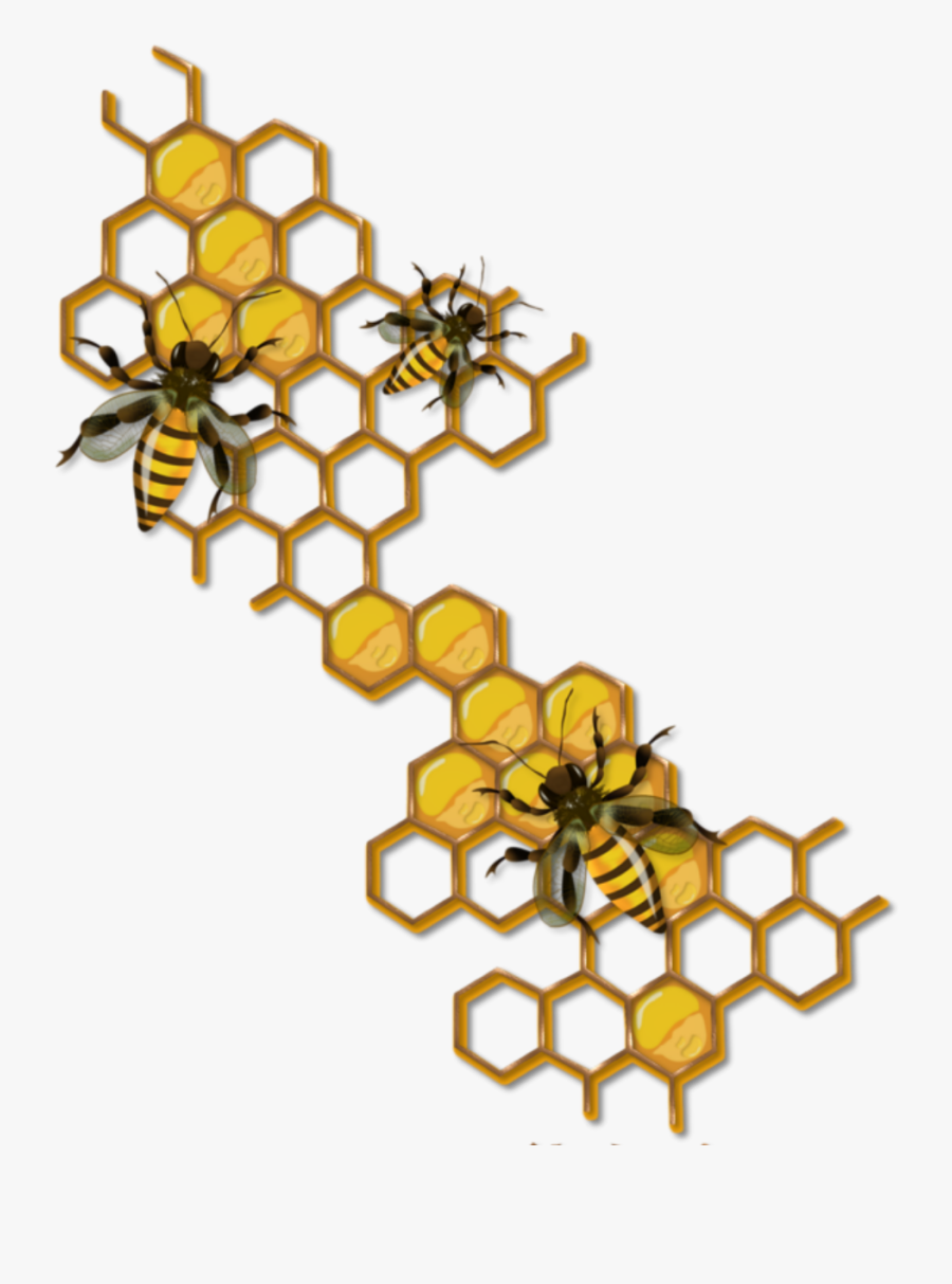 #bee #honeycomb - Honey Bee Honeycomb Drawing , Free Transparent Clipart - ...