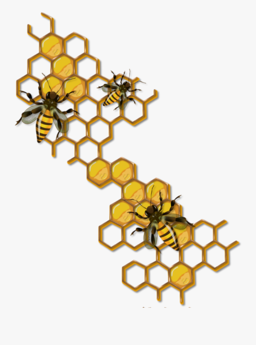 #bee #honeycomb - Honey Bee Honeycomb Drawing, Transparent Clipart