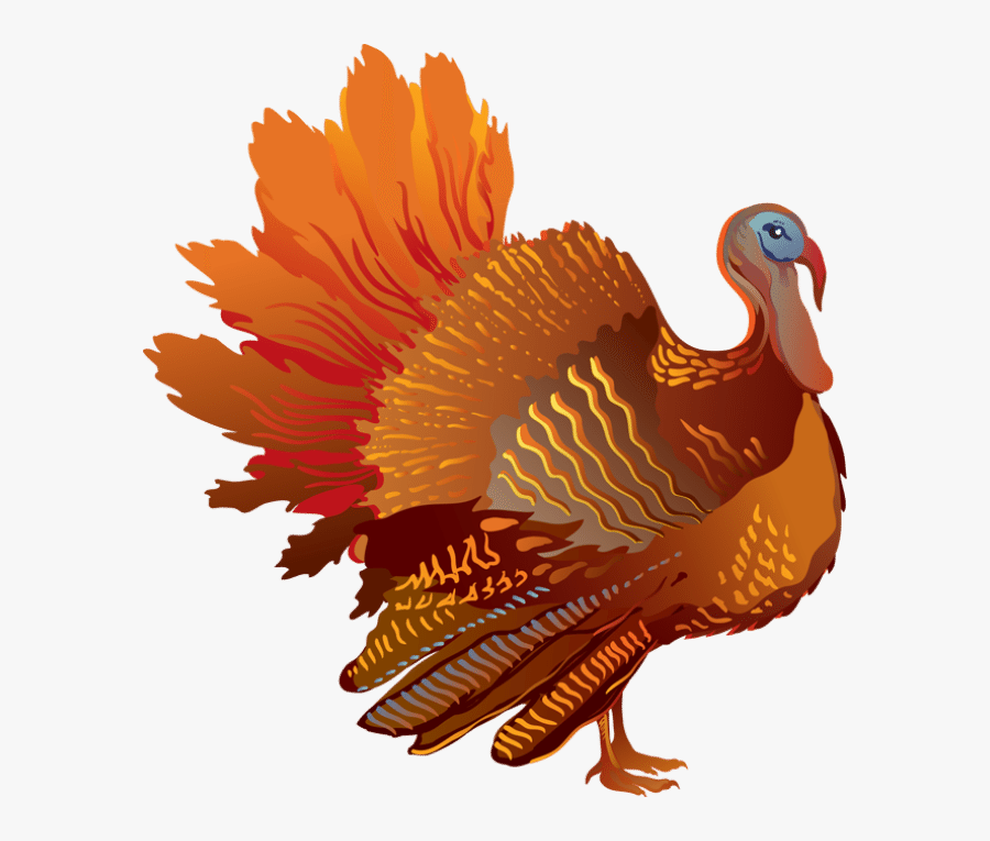 Turkey Thanksgiving Clipart Cartoon Image And Transparent - Turkey Transparent Thanksgiving, Transparent Clipart