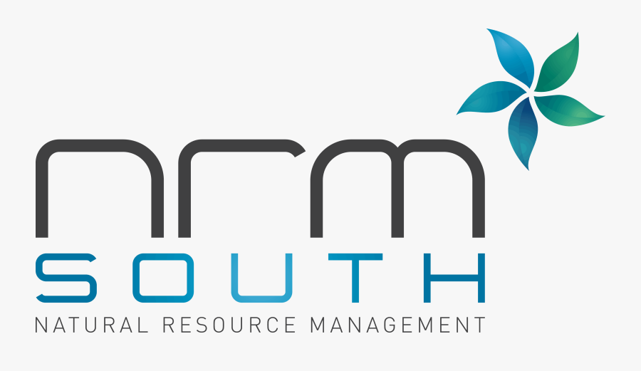 Nrm South, Transparent Clipart