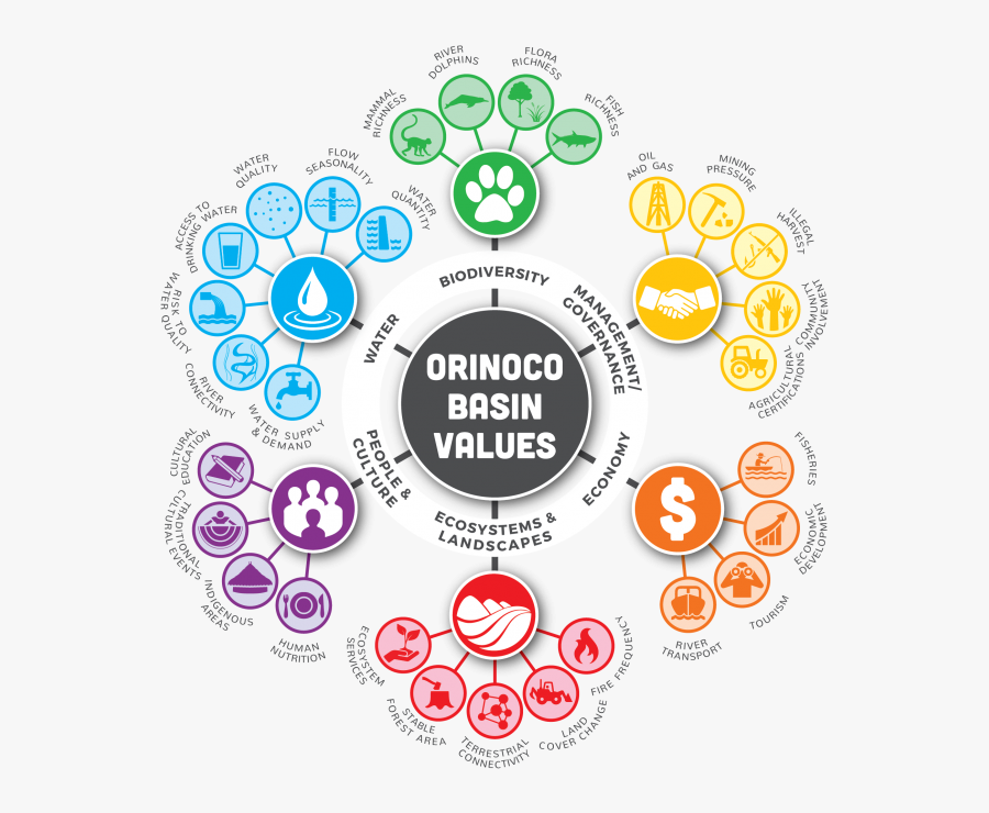 Circle, Transparent Clipart