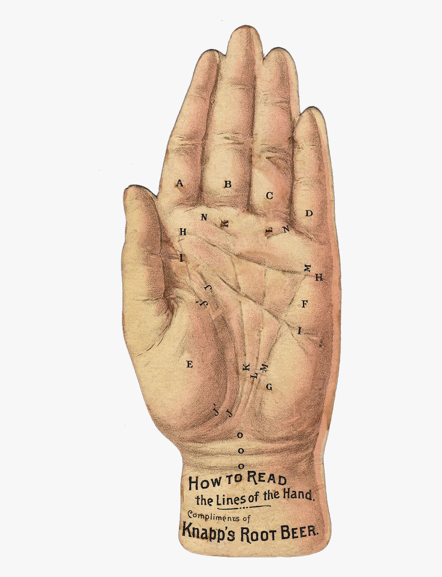 Palmistry Hand Png, Transparent Clipart